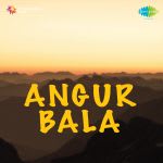 Angur Bala