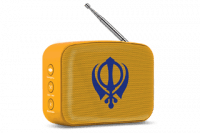 Saffron Orange