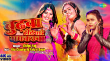 Budhwa Sent Mare Gumkaua | Shilpi Raj